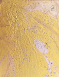 "Sahara Dust"